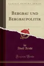 Bergbau und Bergbaupolitik (Classic Reprint) - Adolf Arndt