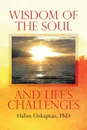 Wisdom of the Soul and Life.s Challenges - PhD Halim Ozkaptan