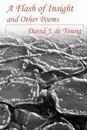 A Flash of Insight and Other Poems - David J de Young