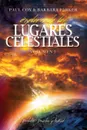 Explorando los Lugares Celestiales - Volumen 3. Portales, Puertas y la Red - Paul Cox, Barbara Parker