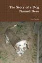 The Story of a Dog Named Beau - Lisa Dunbar