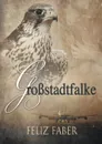 Grossstadtfalke - Feliz Faber, Louise Spiegl