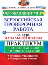 ВПР. Окружающий мир. Начальная школа. Практикум по выполнению типовых заданий - Е. В. Волкова, А. В. Данилова, Г. И. Цитович