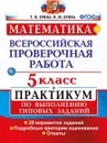 ВПР. Математика. 5 класс. Практикум по выполнению типовых заданий - Ерина Т.М.
