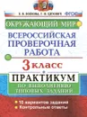 ВПР. Окружающий мир. 3 класс. Практикум по выполнению типовых заданий - Волкова Е.В.
