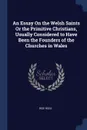 An Essay On the Welsh Saints Or the Primitive Christians, Usually Considered to Have Been the Founders of the Churches in Wales - Rice Rees