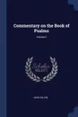 Commentary on the Book of Psalms; Volume 2 - Jean Calvin