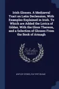 Irish Glosses. A Mediaeval Tract on Latin Declension, With Examples Explained in Irish. To Which are Added the Lorica of Gildas, With the Gloss Thereon, and a Selection of Glosses From the Book of Armagh - Whitley Stokes, 516?-570? Gildas