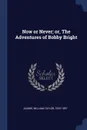 Now or Never; or, The Adventures of Bobby Bright - William Taylor Adams