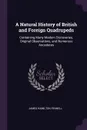 A Natural History of British and Foreign Quadrupeds. Containing Many Modern Discoveries, Original Observations, and Numerous Ancedotes - James Hamilton Fennell