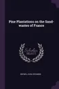 Pine Plantations on the Sand-wastes of France - John Croumbie Brown