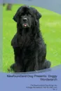 Newfoundland Dog Presents. Doggy Wordsearch  The Newfoundland Dog Brings You A Doggy Wordsearch That You Will Love. Vol. 4 - Doggy Puzzles