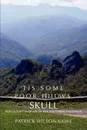 .Tis Some Poor Fellow.s Skull. Post-Soviet Warfare in the Southern Caucasus - Patrick Wilson Gore