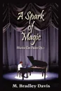 A Spark of Magic. Musica Con Fuoco Op. 1 - M. Bradley Davis