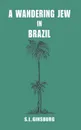 A Wandering Jew in Brazil - Louis G. Morton, S. L. Ginsburg