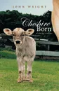 Cheshire Born. A Collection of Albums - John Wright