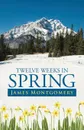 Twelve Weeks in Spring - James Montgomery