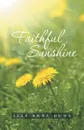 Faithful Sunshine - Lisa Anne Duda