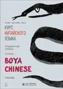 Курс китайского языка. 