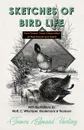 Sketches of Bird Life - From Twenty Years Observation of Their Haunts and Habits - With Illustrations by Wolf, C. Whymper, Keulemans, and Thorburn - James Edmund Harting