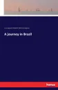 A journey in Brazil - Louis Agassiz, Elizabeth Cabot Cary Agassiz