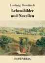 Lebensbilder und Novellen - Ludwig Bowitsch