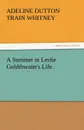 A Summer in Leslie Goldthwaite.s Life. - Adeline Dutton Train Whitney