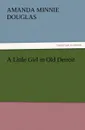 A Little Girl in Old Detroit - Amanda Minnie Douglas