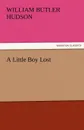 A Little Boy Lost - William Butler Hudson