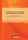 Die fruhe Sturm und Drang Lyrik des Johann Wolfgang von Goethe. Die Prometheus-Dichtung unter gesellschafts- und religionskritischen Aspekten - Adrian N. S. Witt