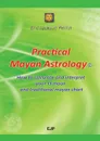 Practical Mayan Astrology - Eric Jackson Perrin