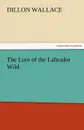 The Lure of the Labrador Wild - Dillon Wallace