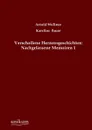 Verschollene Herzensgeschichten. Nachgelassene Memoiren 1 - Arnold Wellmer, Karoline Bauer