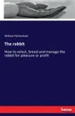 The rabbit - William Richardson