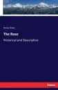 The Rose - Henry Shaw