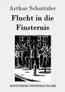 Flucht in die Finsternis - Arthur Schnitzler