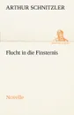 Flucht in Die Finsternis - Arthur Schnitzler
