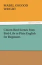 Citizen Bird Scenes from Bird-Life in Plain English for Beginners - Mabel Osgood Wright