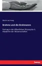 Brahma und die Brahmanen - Martin aut Haug