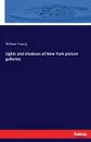 Lights and shadows of New York picture galleries - William Young