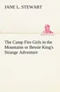 The Camp Fire Girls in the Mountains or Bessie King.s Strange Adventure - Jane L. Stewart