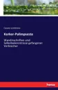 Kerker-Palimpseste - Cesare Lombroso