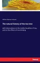 The natural history of the tea-tree - William Nanson Lettsom