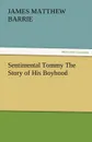 Sentimental Tommy the Story of His Boyhood - James Matthew Barrie, J. M. (James Matthew) Barrie