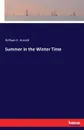 Summer in the Winter Time - William E. Arnold