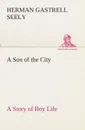 A Son of the City A Story of Boy Life - Herman Gastrell Seely