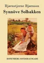 Synnove Solbakken - Bjornstjerne Bjornson