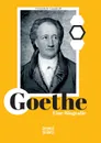 Goethe. Eine Biografie - Friedrich Gundolf