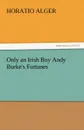 Only an Irish Boy Andy Burke.s Fortunes - Horatio Jr. Alger