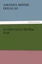 A Little Girl in Old New York - Amanda Minnie Douglas